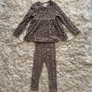 Leopard Print Long Sleeve Top and Leggings Set